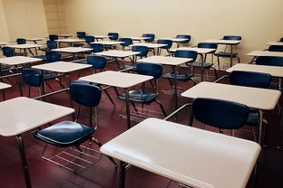 开云体育下载APP-校园体育活动对学生心理弹性的促进，学校体育对青少年心理方面的影响