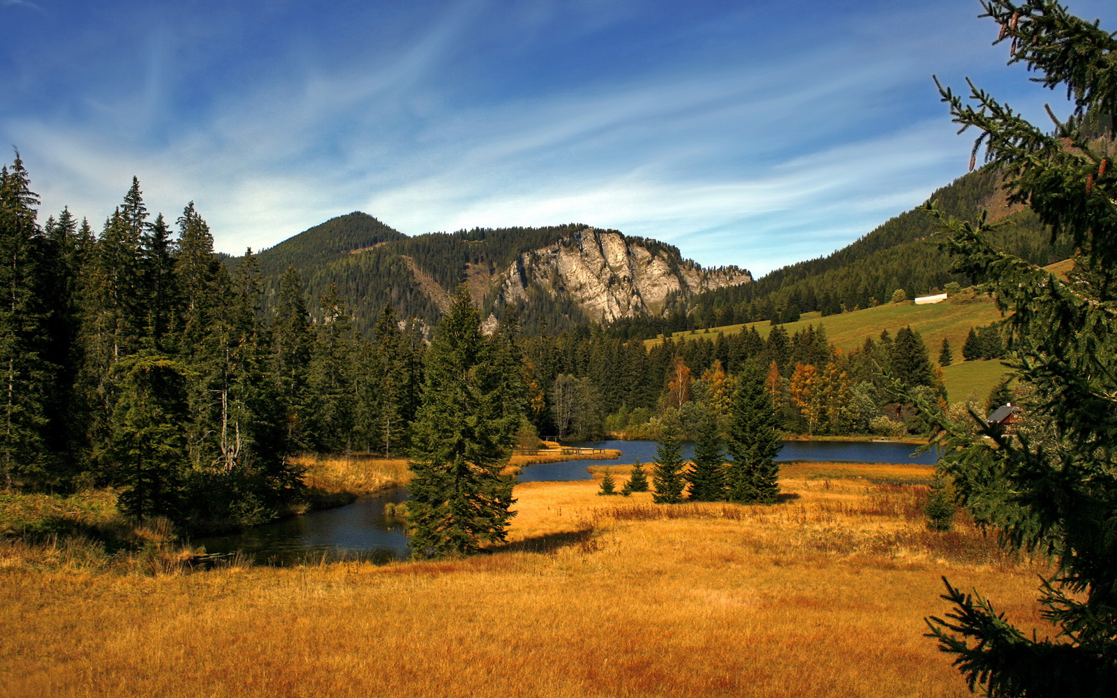 蛙泳强项波兰女队杀入决赛，波兰游泳队