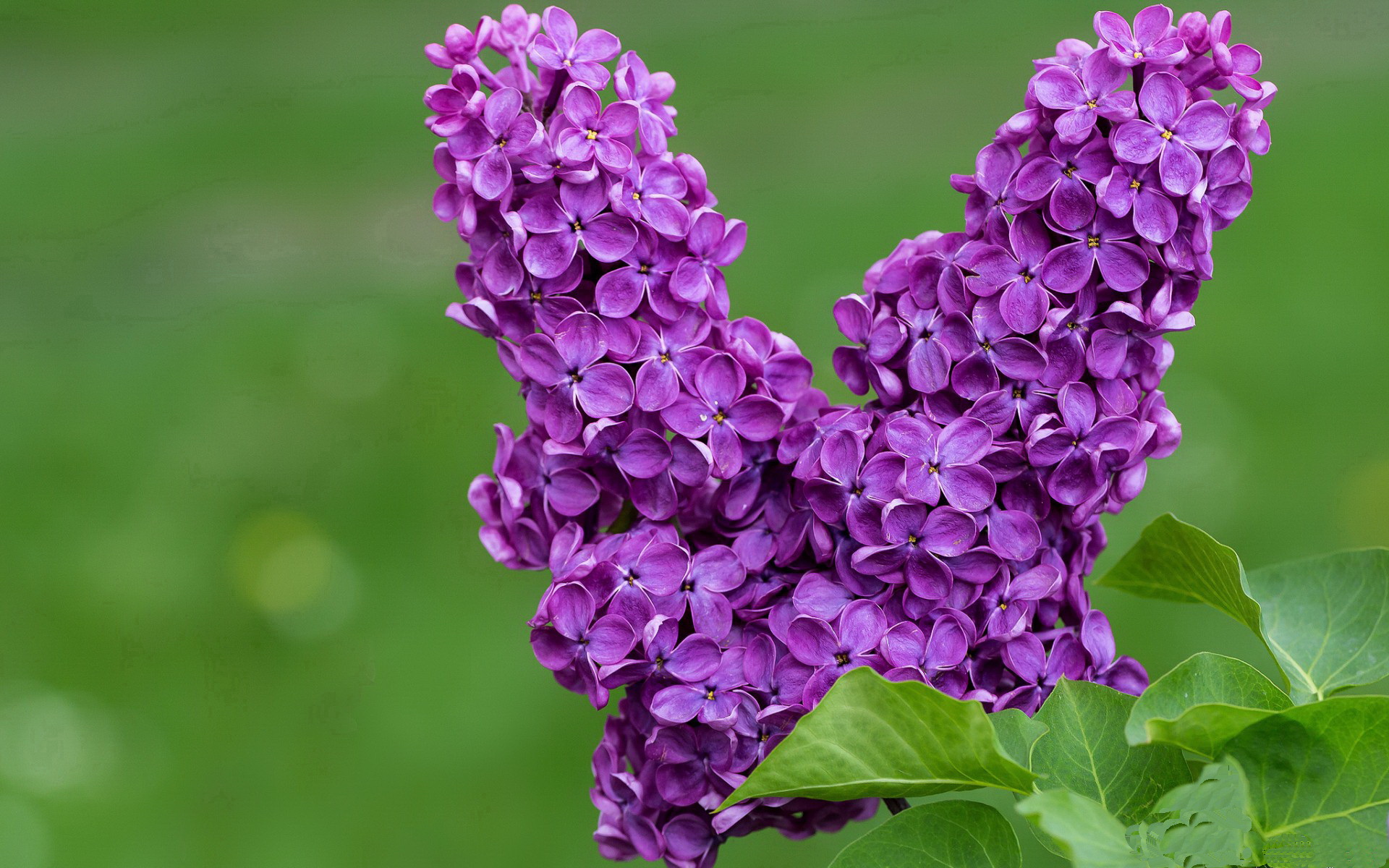 kaiyun app download-谢佩玲决赛发挥助力队伍争光，谢佩诗个人信息