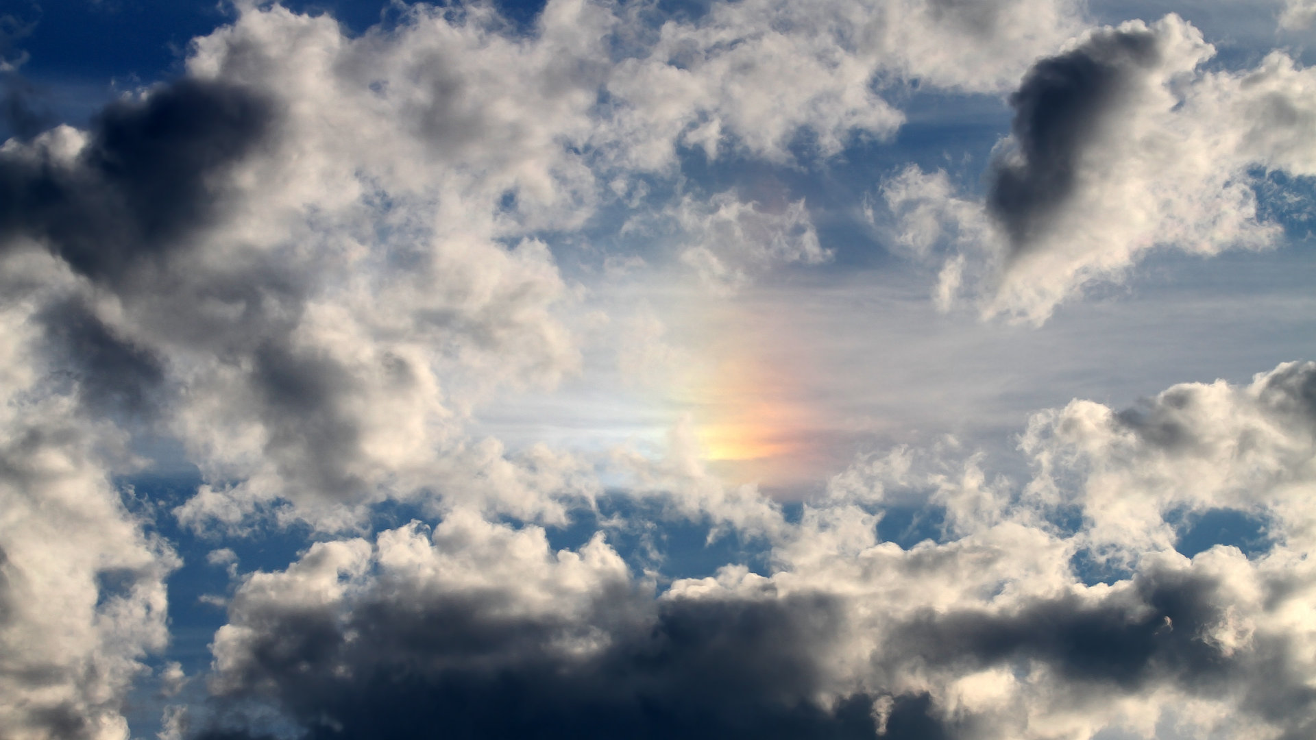 跳水细节精准中立代表队A得分稳定，跳水队打分