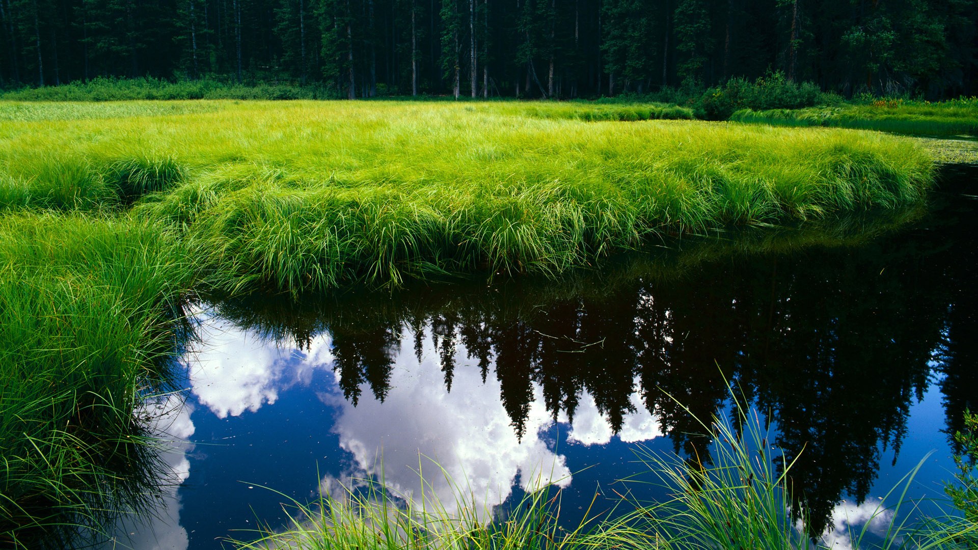 青少年足球联赛实现全程数字化监控与裁判，确保比赛公平公正，青少年全国足球比赛